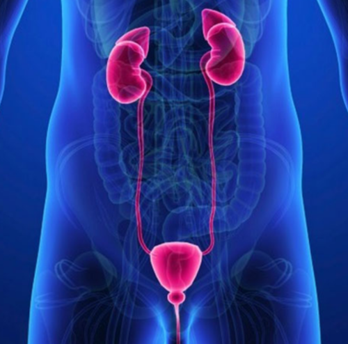 Gynecologist and obstetrician in Nashik