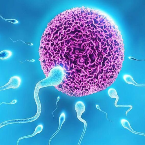 Maternity Hospital in Nashik